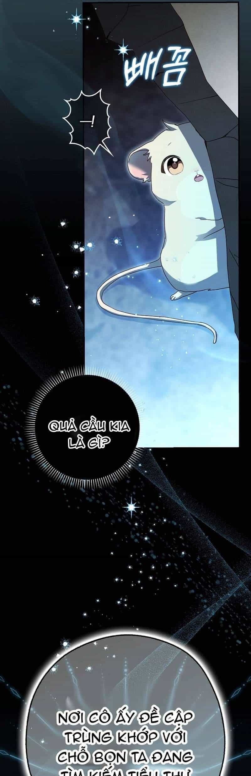Chuột Đồng Này Sẽ Đưa Lọ Lem Đi - Chương 4 - ảnh 29