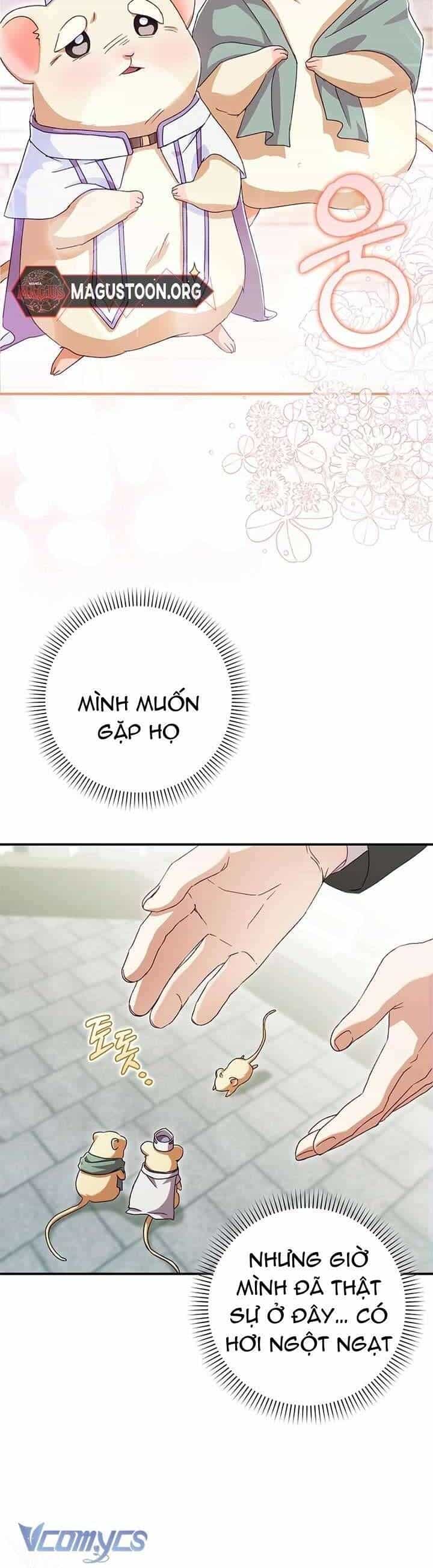 Chuột Đồng Này Sẽ Đưa Lọ Lem Đi - Chương 6 - ảnh 15