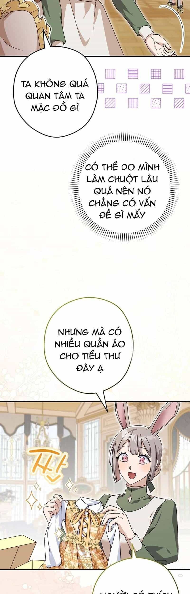 Chuột Đồng Này Sẽ Đưa Lọ Lem Đi - Chương 9 - ảnh 10