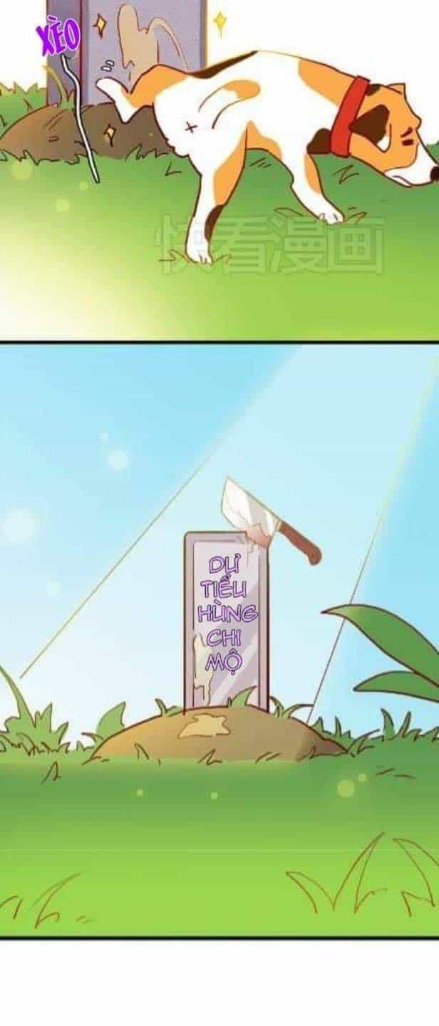 Chuyện Ngày Thường: Gấu Nhỏ Dư Và Thỏ Thỏ Hứa - Chương 9 - ảnh 21