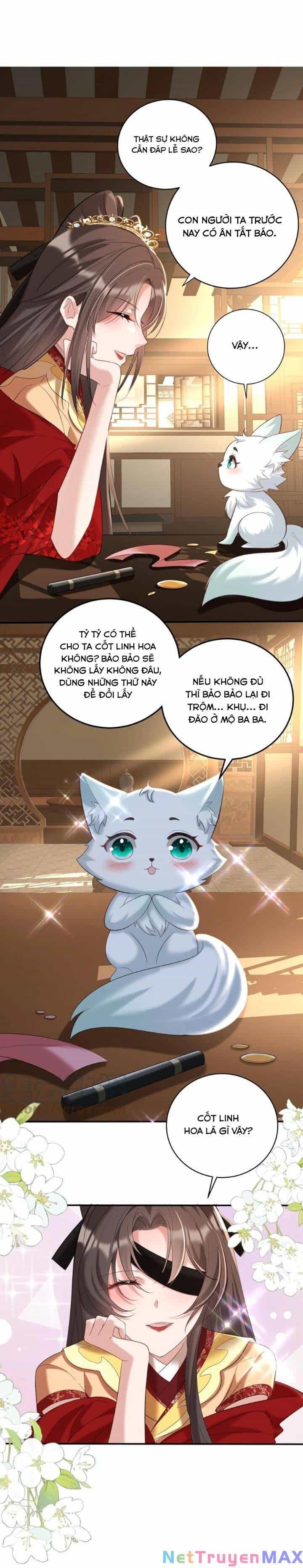 Chuyển Sinh: Thần Y Quận Chúa Khuynh Thiên Hạ - Chương 29 - ảnh 5