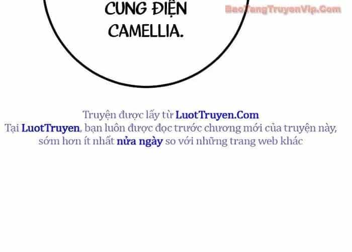 Chuyển Sinh Thành Con Ngoài Giá Thú Của Gia Đình Kiếm Thuật Danh Tiếng - Chương 66 - ảnh 41