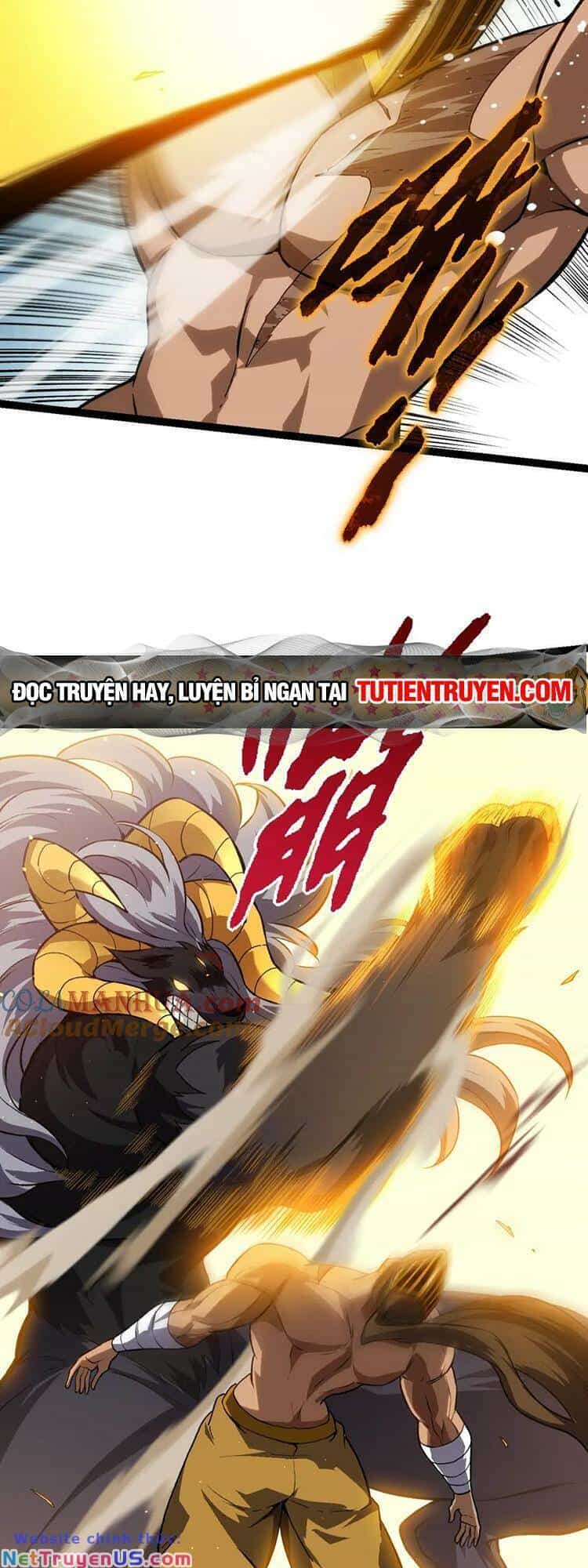 Chuyển Sinh Thành Liễu Đột Biến - Chương 106 - ảnh 14