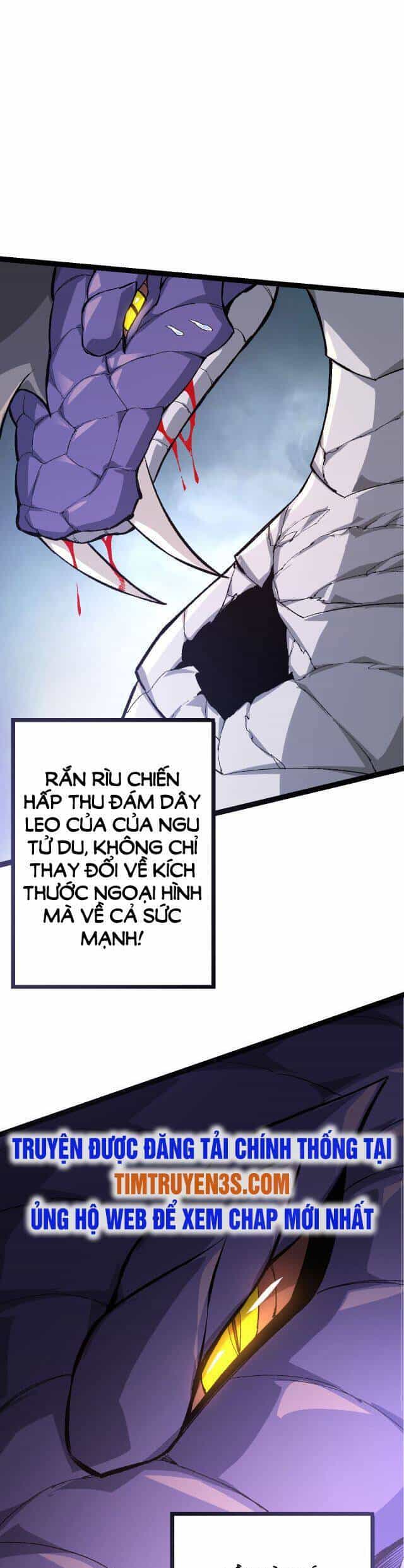 Chuyển Sinh Thành Liễu Đột Biến - Chương 10 - ảnh 19