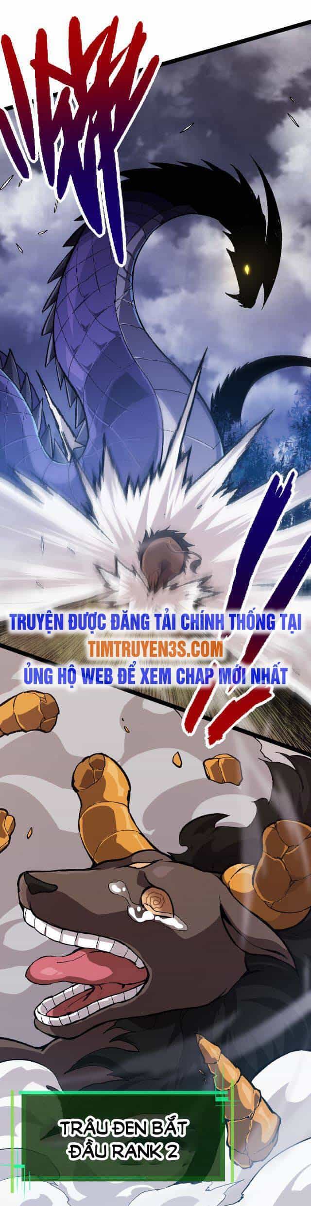 Chuyển Sinh Thành Liễu Đột Biến - Chương 11 - ảnh 16