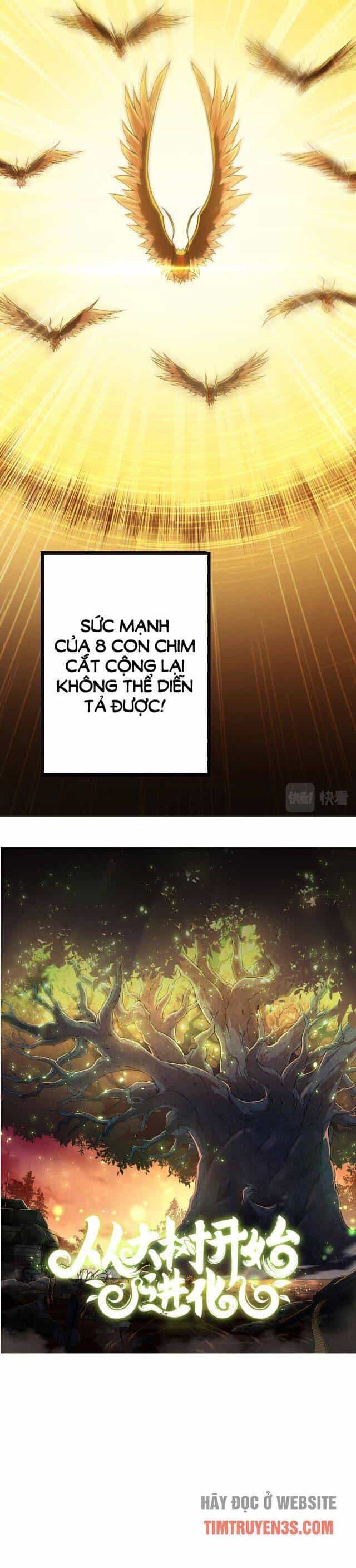 Chuyển Sinh Thành Liễu Đột Biến - Chương 12 - ảnh 8