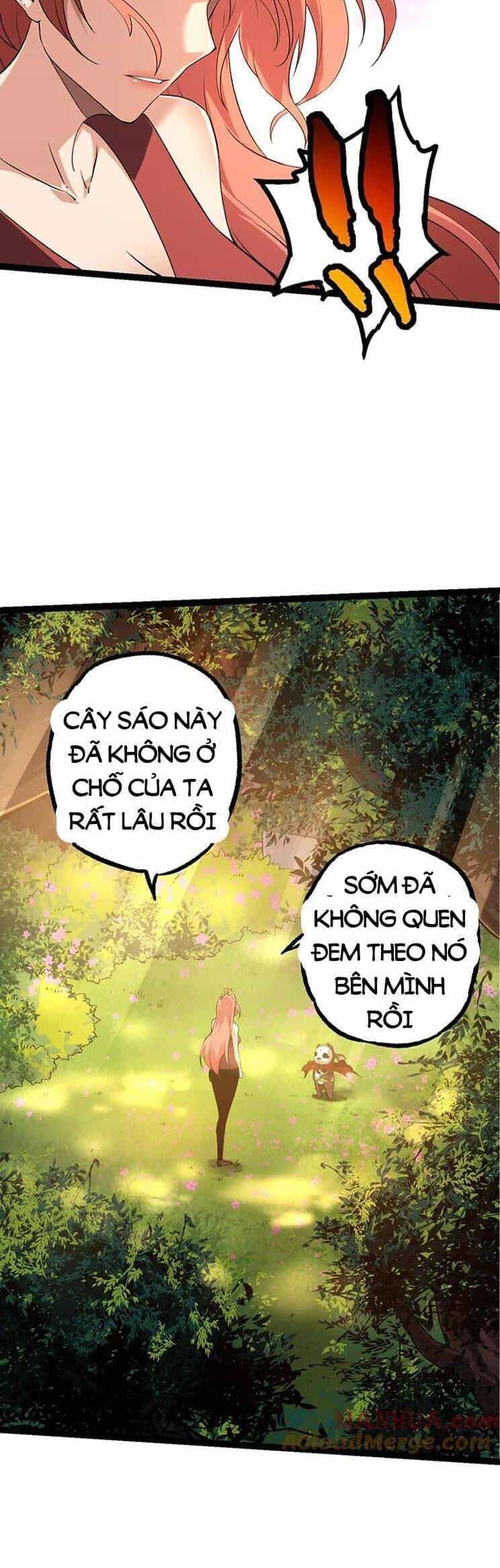 Chuyển Sinh Thành Liễu Đột Biến - Chương 135 - ảnh 15