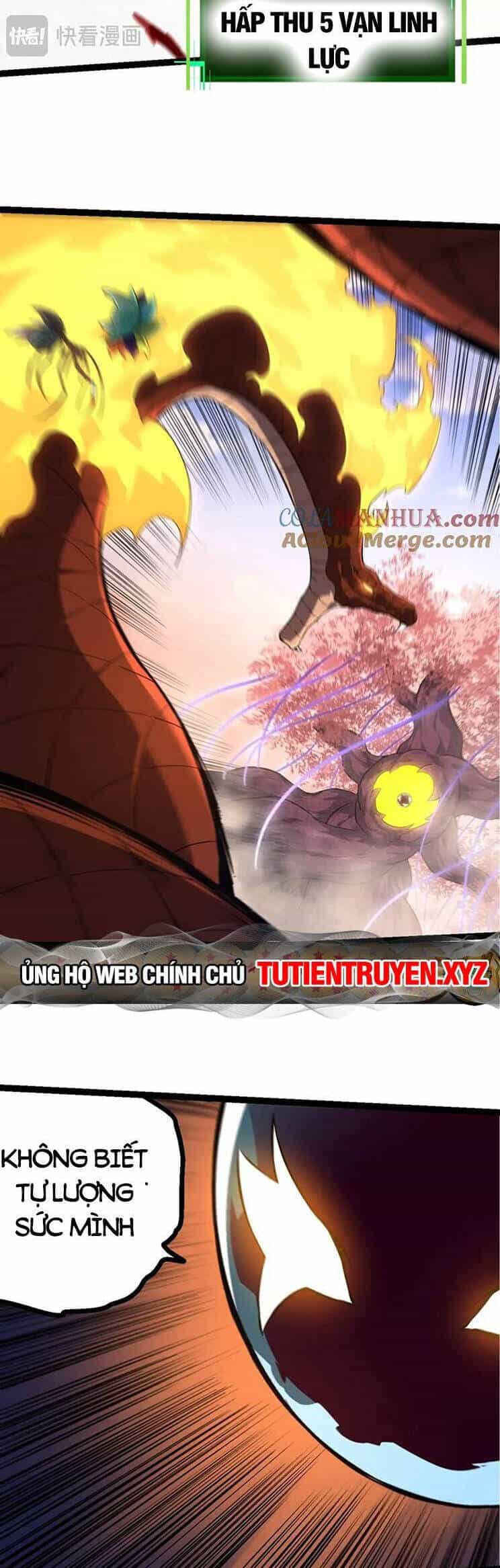 Chuyển Sinh Thành Liễu Đột Biến - Chương 139 - ảnh 6
