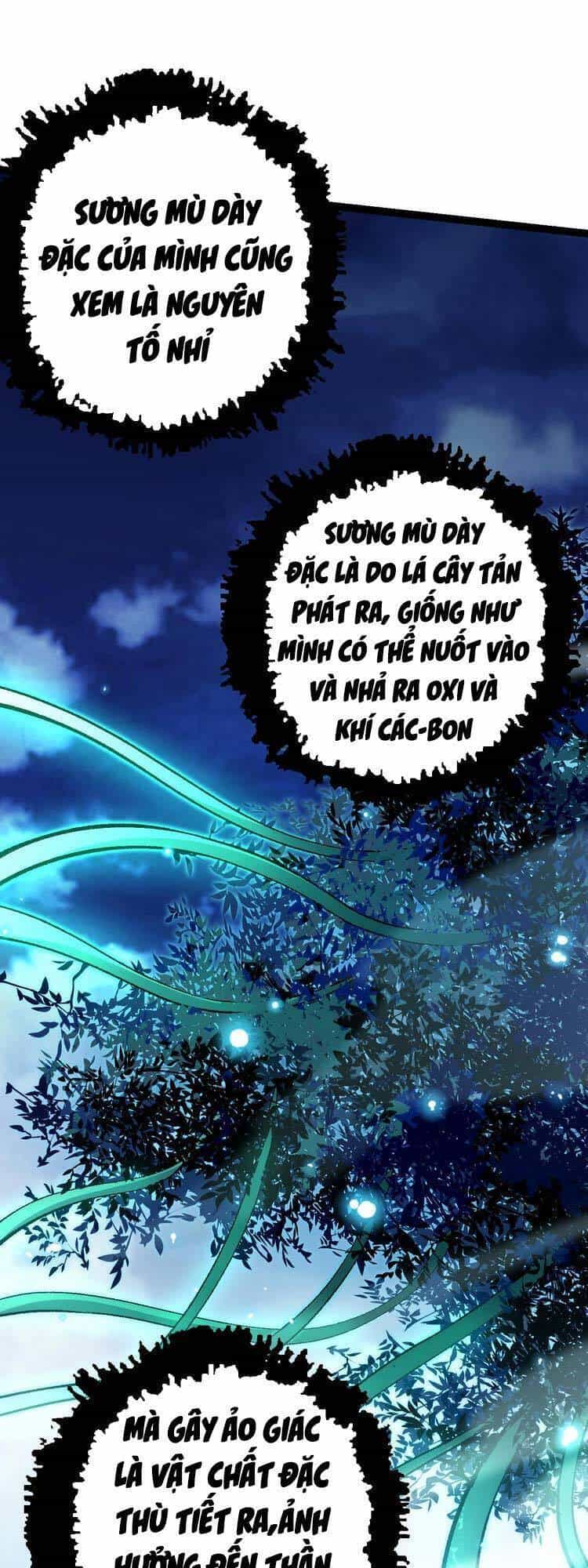 Chuyển Sinh Thành Liễu Đột Biến - Chương 14 - ảnh 23