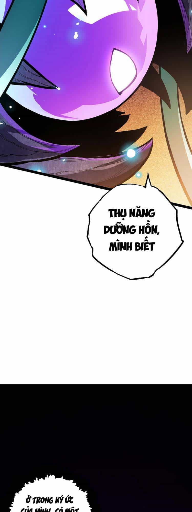 Chuyển Sinh Thành Liễu Đột Biến - Chương 15 - ảnh 13