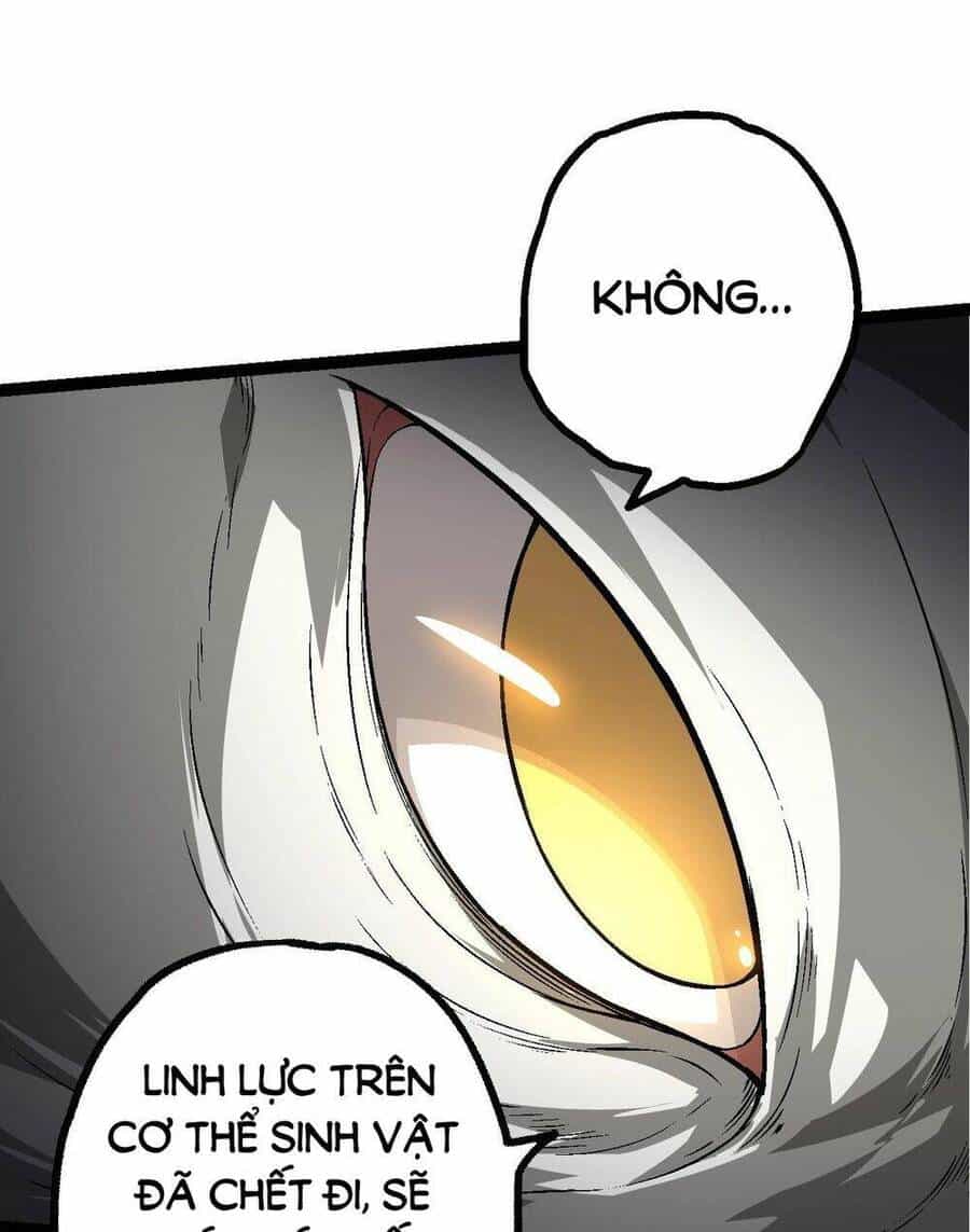 Chuyển Sinh Thành Liễu Đột Biến - Chương 165 - ảnh 39