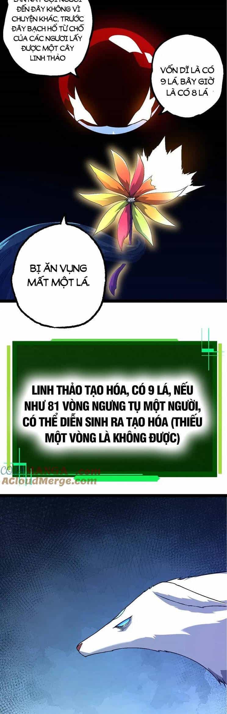 Chuyển Sinh Thành Liễu Đột Biến - Chương 167 - ảnh 34