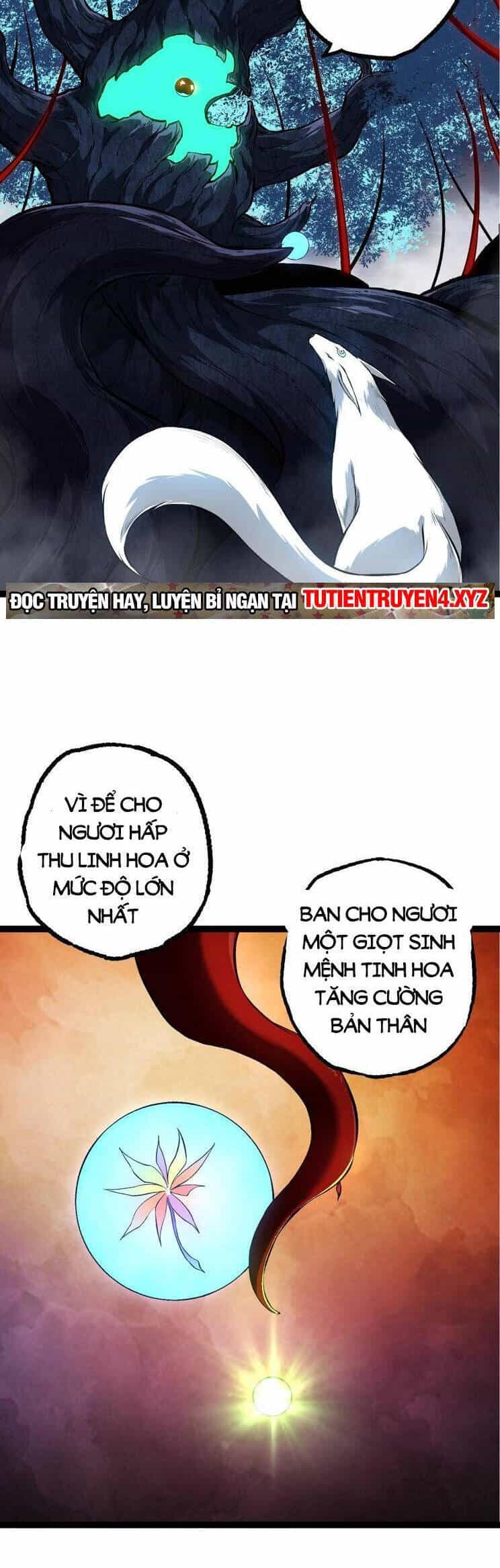 Chuyển Sinh Thành Liễu Đột Biến - Chương 168 - ảnh 2