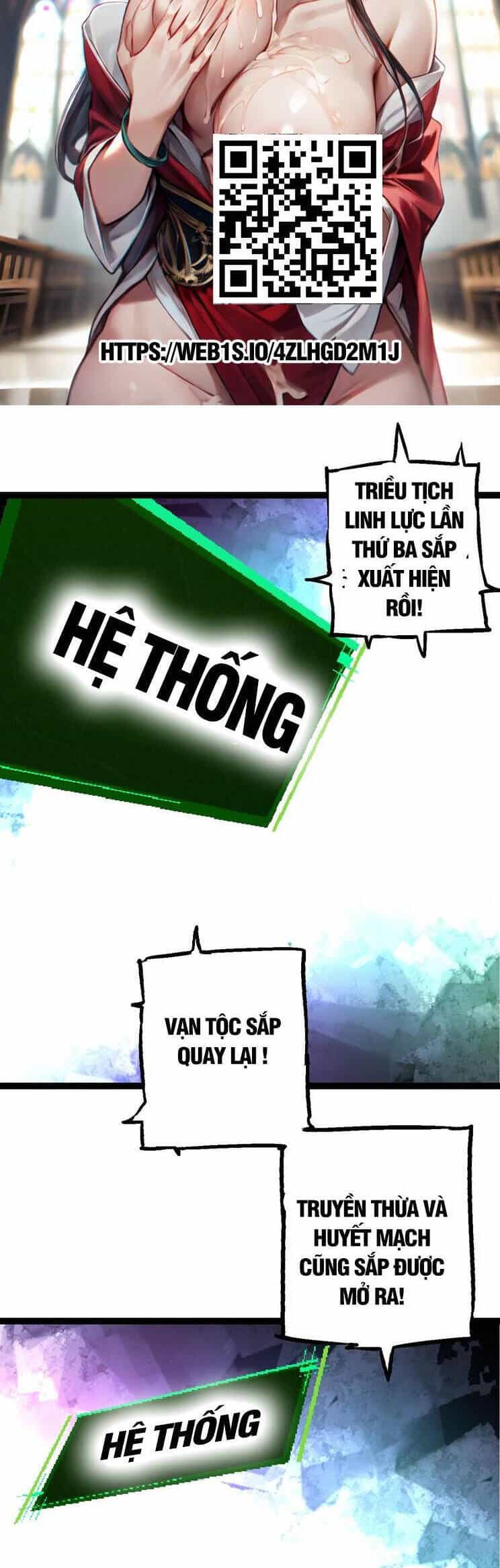 Chuyển Sinh Thành Liễu Đột Biến - Chương 168 - ảnh 32