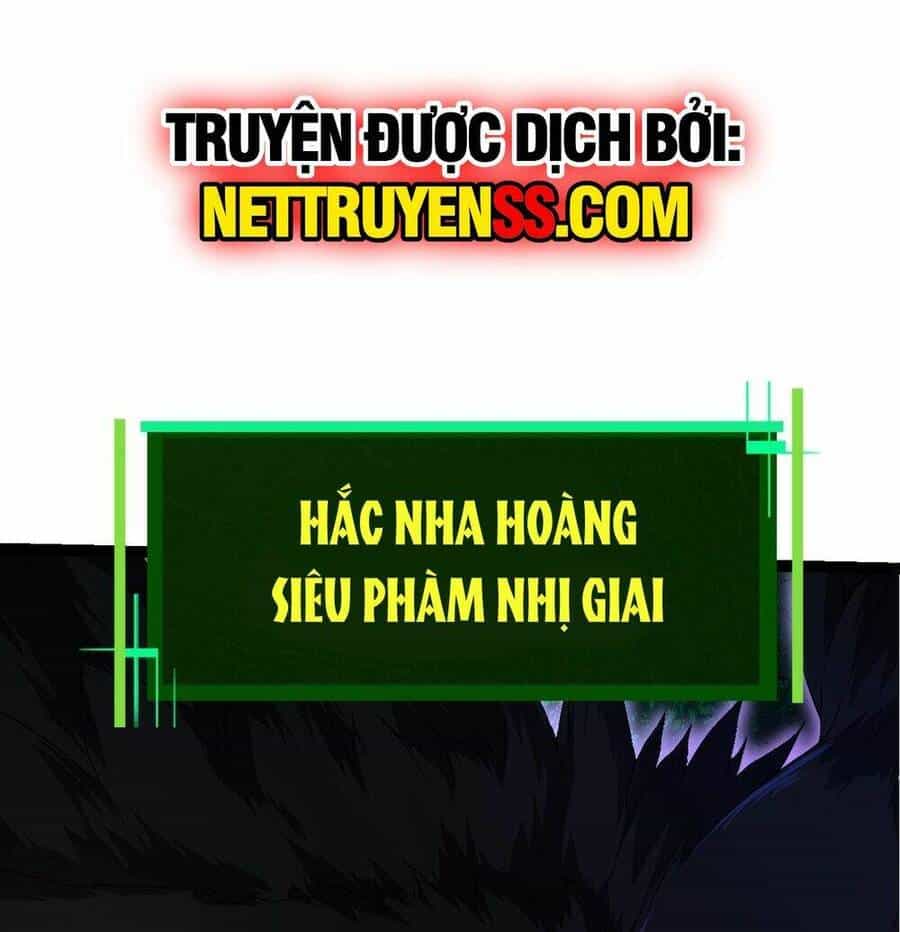 Chuyển Sinh Thành Liễu Đột Biến - Chương 170 - ảnh 42