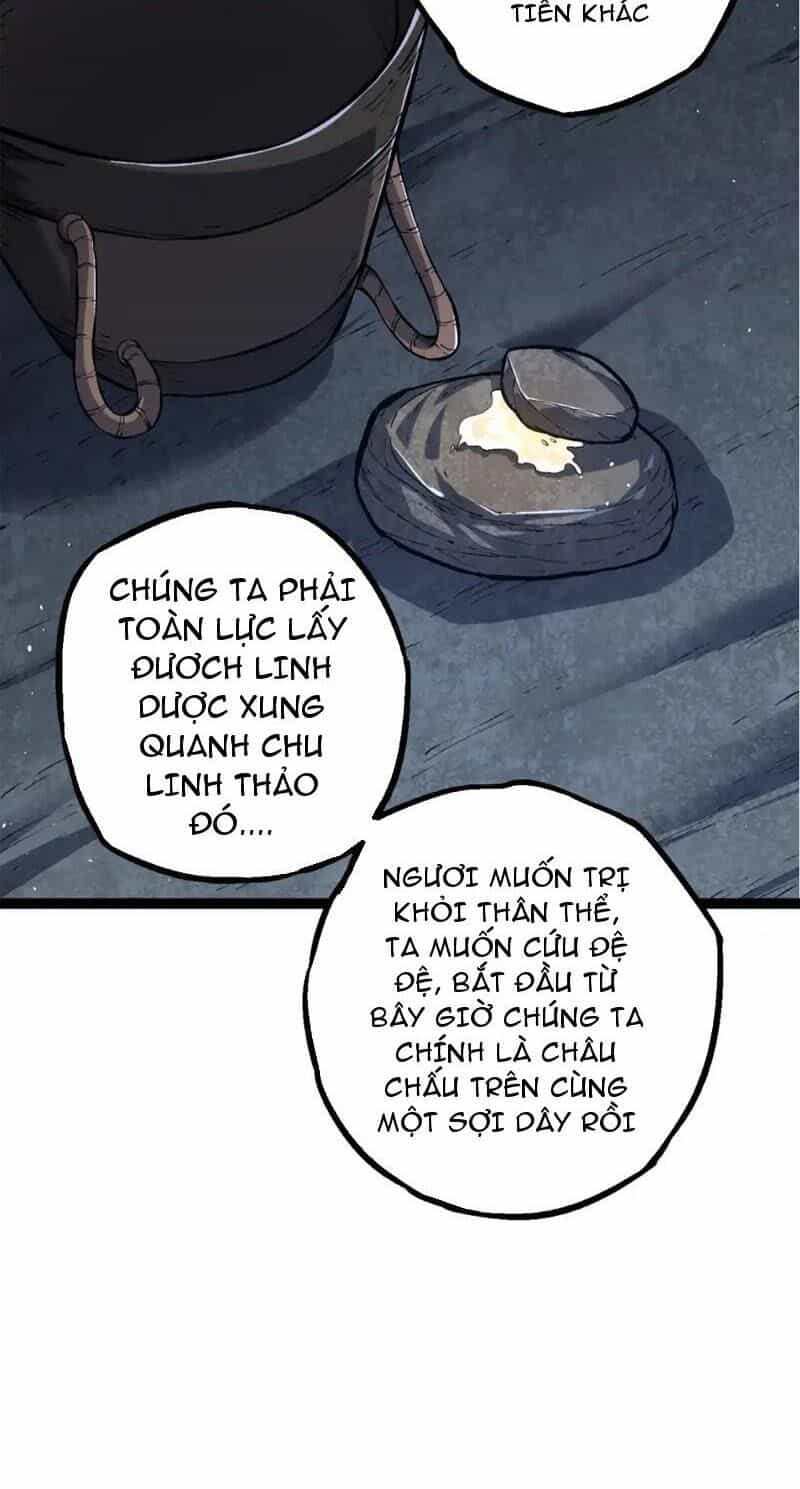 Chuyển Sinh Thành Liễu Đột Biến - Chương 171 - ảnh 29