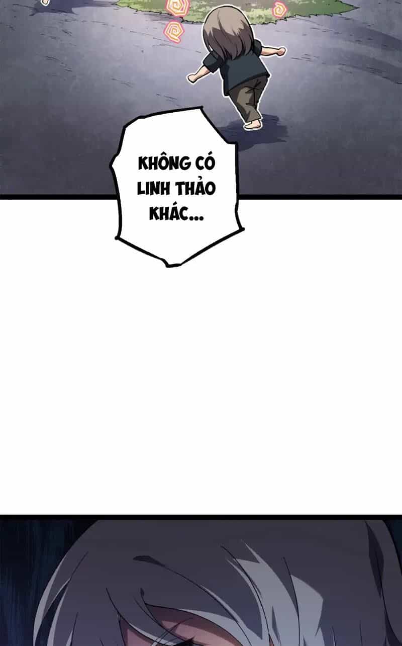 Chuyển Sinh Thành Liễu Đột Biến - Chương 172 - ảnh 60