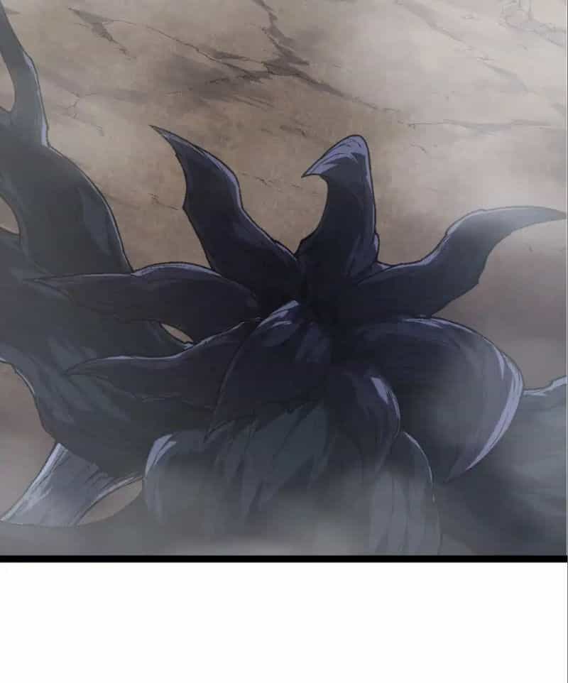 Chuyển Sinh Thành Liễu Đột Biến - Chương 177 - ảnh 2