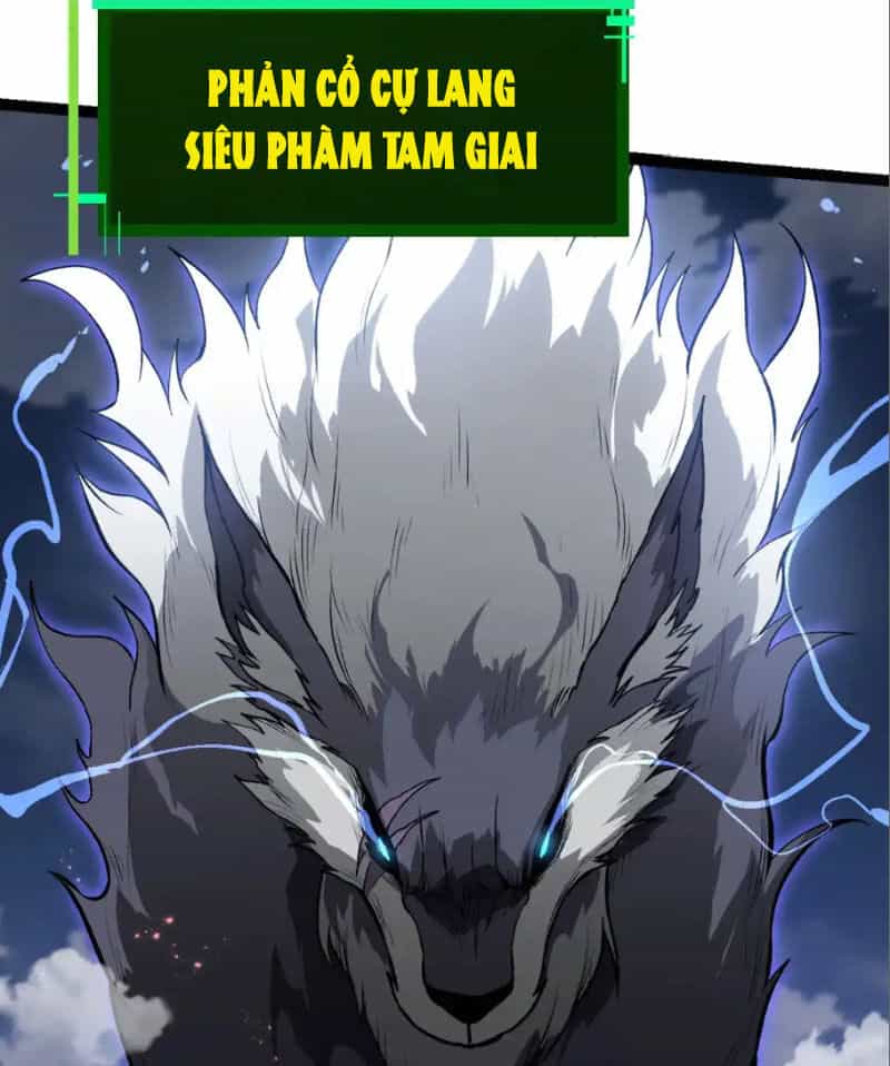 Chuyển Sinh Thành Liễu Đột Biến - Chương 189 - ảnh 12