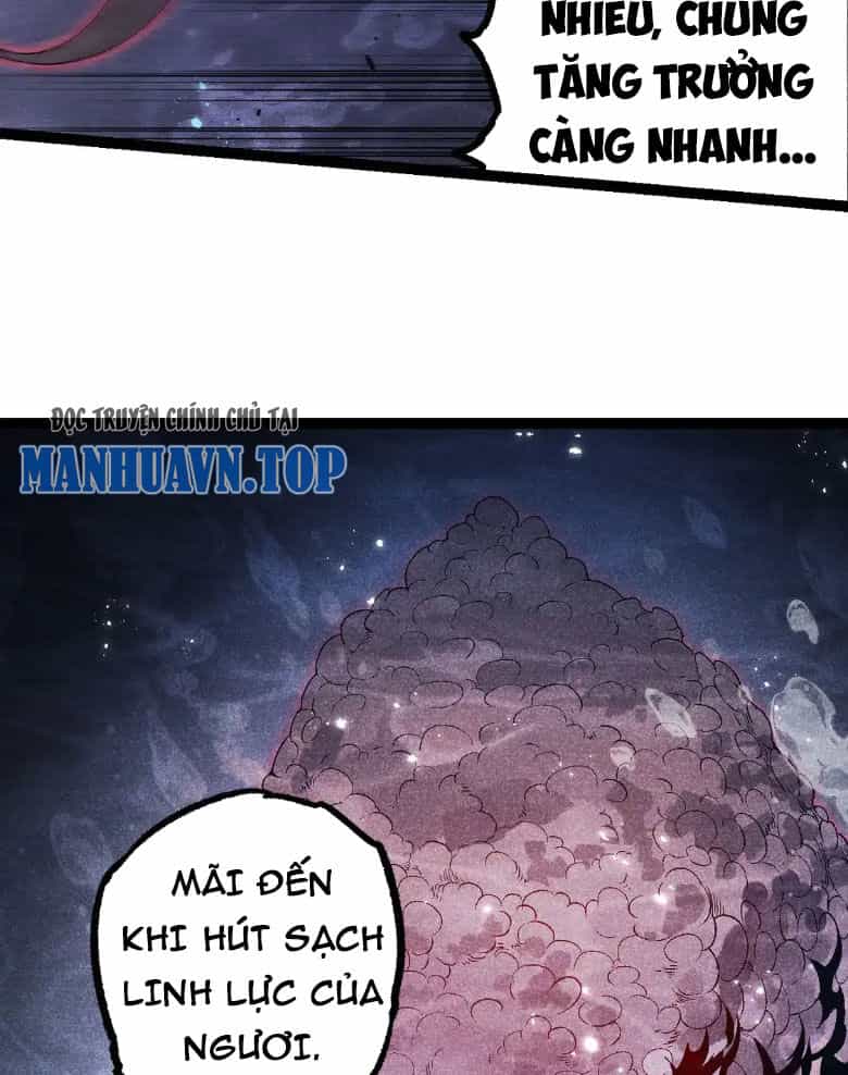 Chuyển Sinh Thành Liễu Đột Biến - Chương 197 - ảnh 63