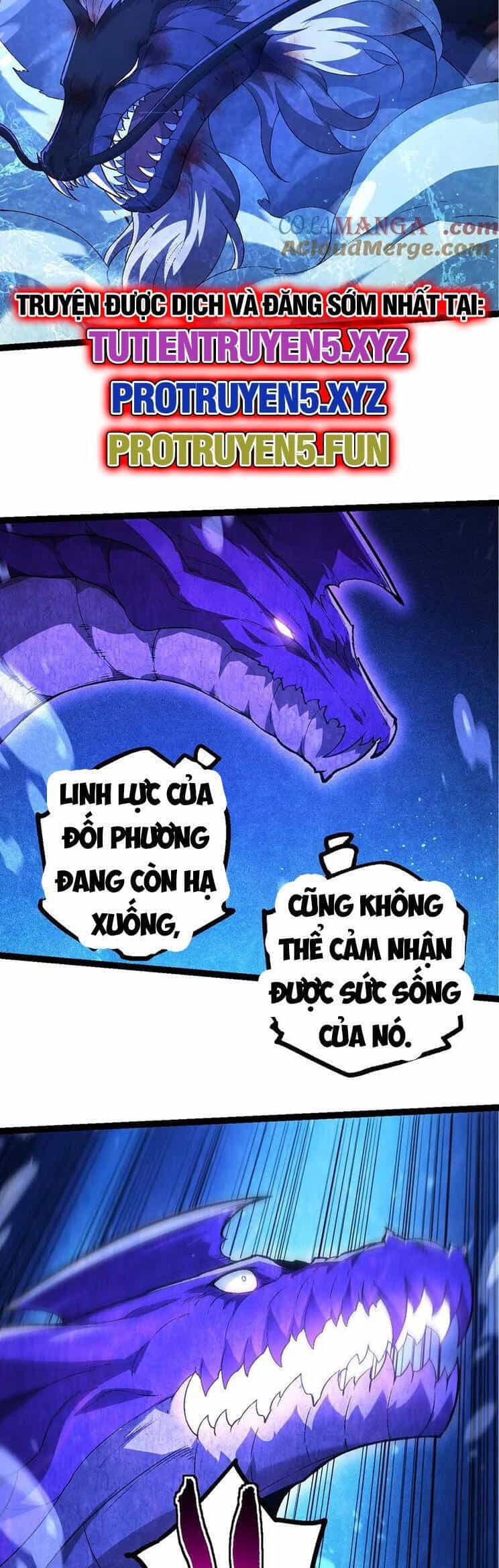 Chuyển Sinh Thành Liễu Đột Biến - Chương 202 - ảnh 10