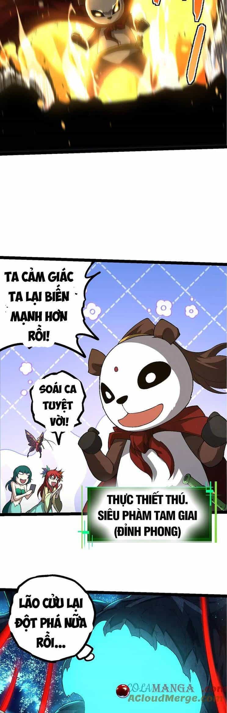 Chuyển Sinh Thành Liễu Đột Biến - Chương 202 - ảnh 25