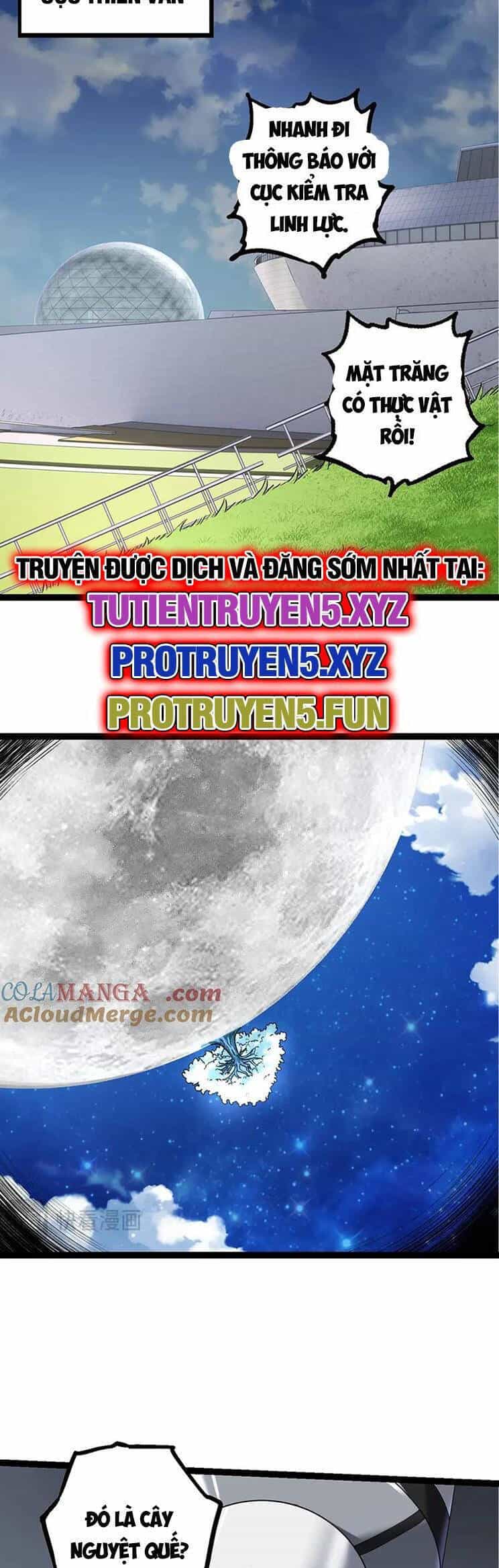 Chuyển Sinh Thành Liễu Đột Biến - Chương 203 - ảnh 16
