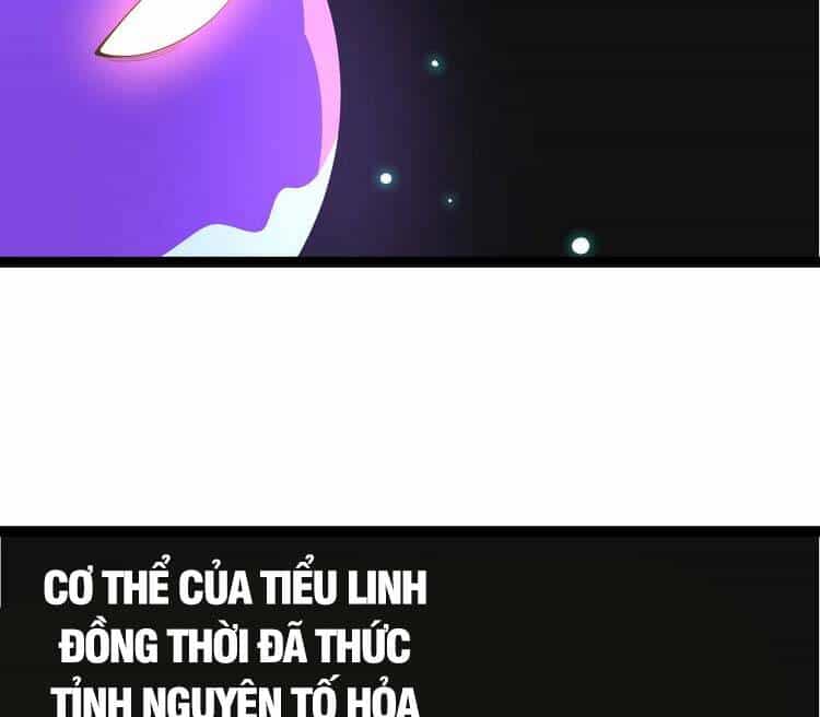 Chuyển Sinh Thành Liễu Đột Biến - Chương 20 - ảnh 34