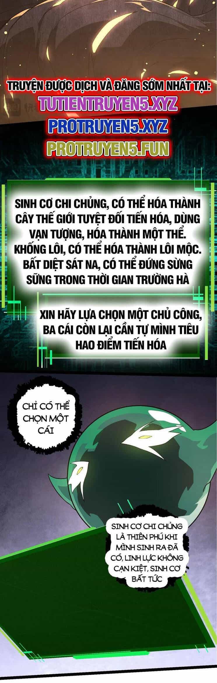 Chuyển Sinh Thành Liễu Đột Biến - Chương 208 - ảnh 5