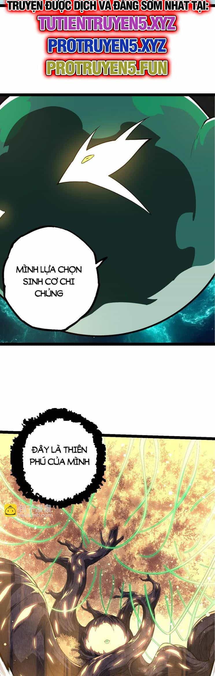 Chuyển Sinh Thành Liễu Đột Biến - Chương 208 - ảnh 7