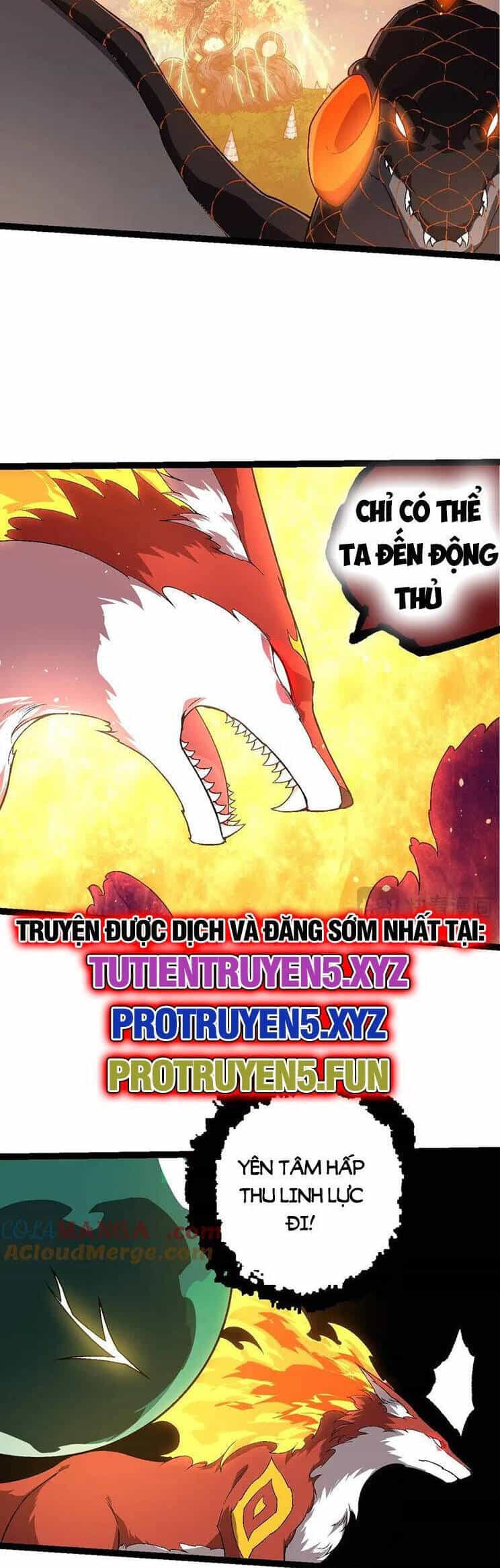 Chuyển Sinh Thành Liễu Đột Biến - Chương 209 - ảnh 8