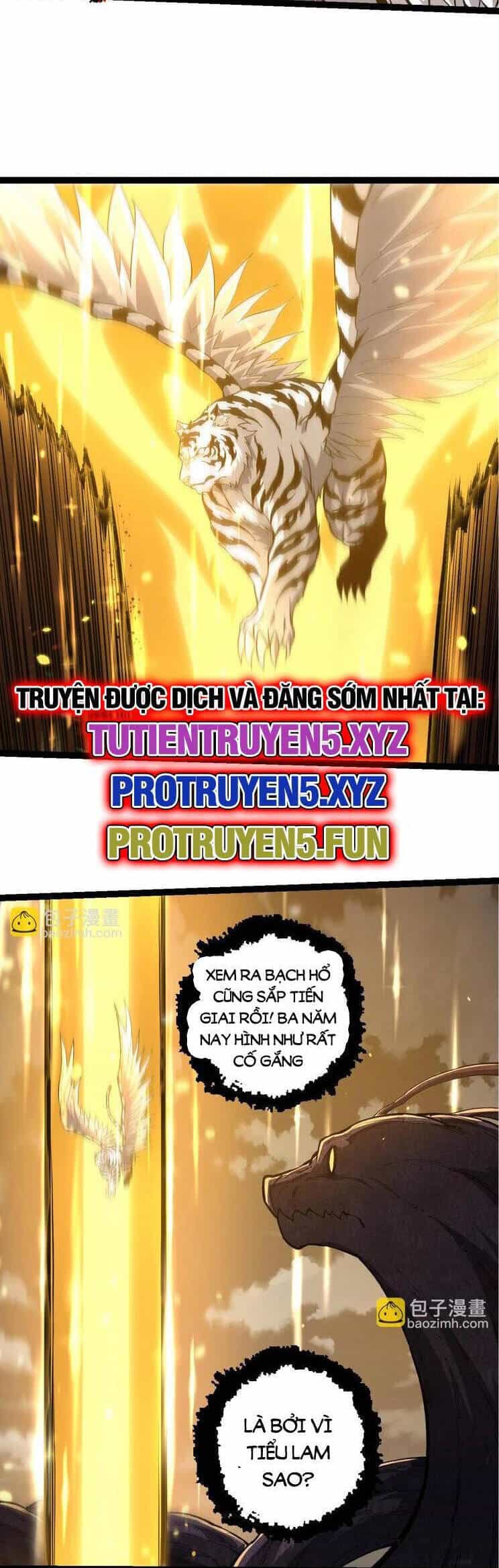Chuyển Sinh Thành Liễu Đột Biến - Chương 210 - ảnh 14