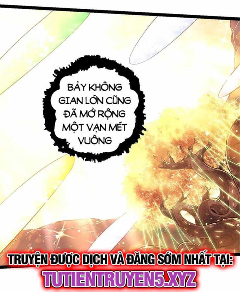 Chuyển Sinh Thành Liễu Đột Biến - Chương 213 - ảnh 9