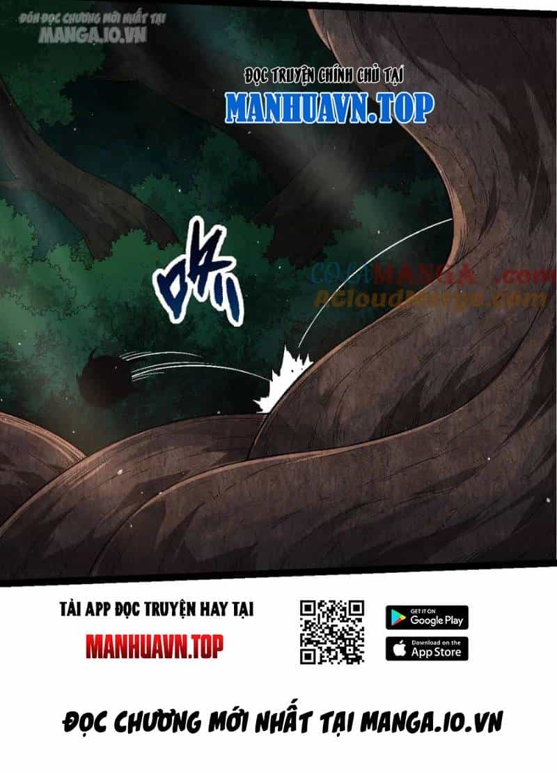 Chuyển Sinh Thành Liễu Đột Biến - Chương 226 - ảnh 22