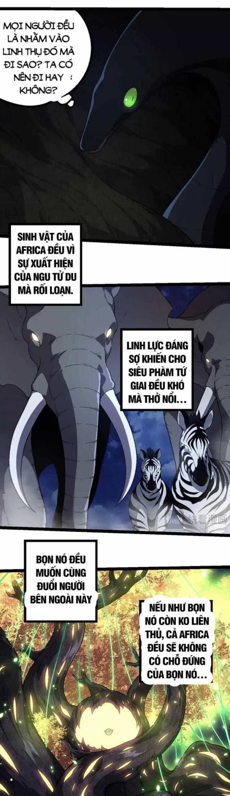 Chuyển Sinh Thành Liễu Đột Biến - Chương 246 - ảnh 13