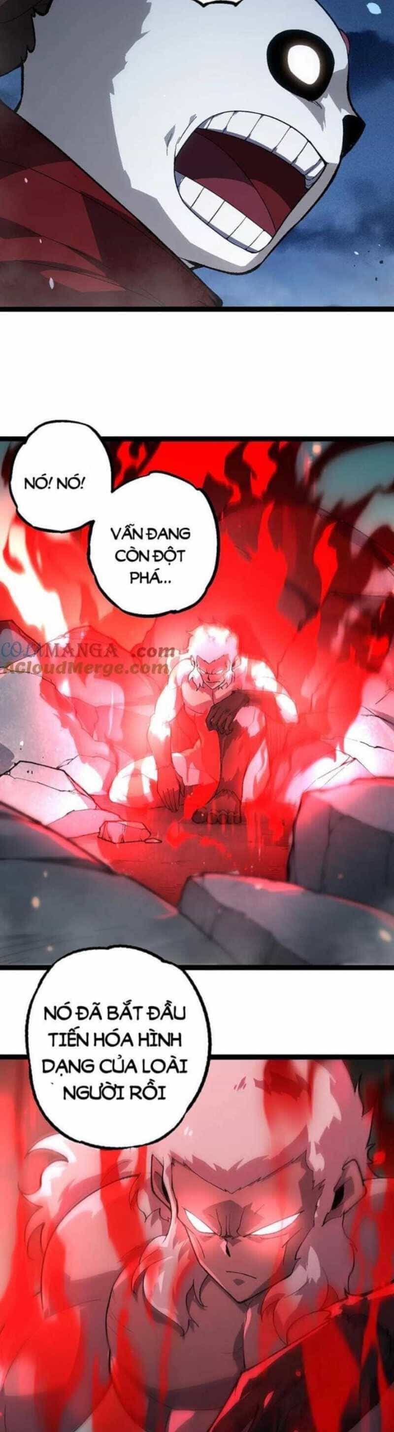 Chuyển Sinh Thành Liễu Đột Biến - Chương 247 - ảnh 5