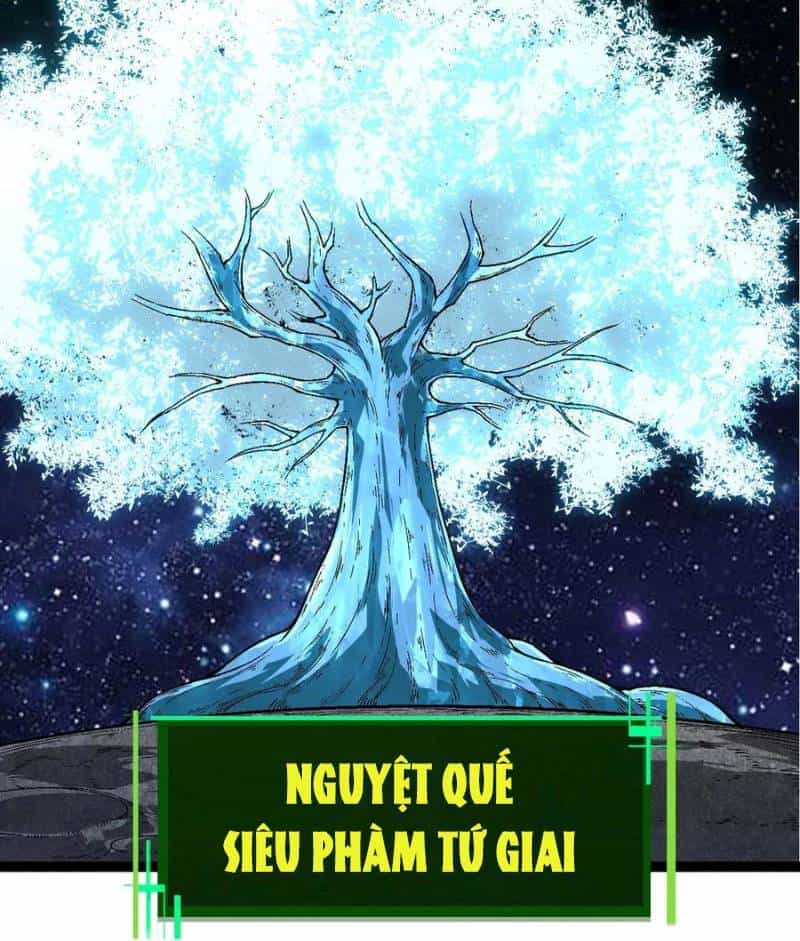 Chuyển Sinh Thành Liễu Đột Biến - Chương 251 - ảnh 26