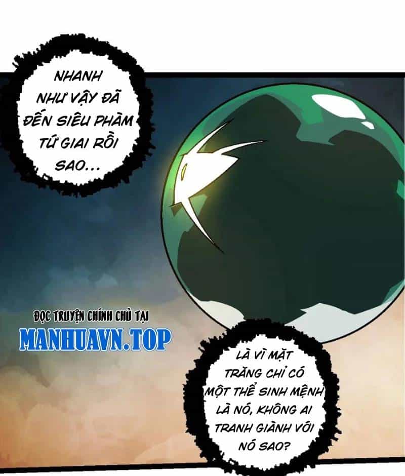 Chuyển Sinh Thành Liễu Đột Biến - Chương 251 - ảnh 27