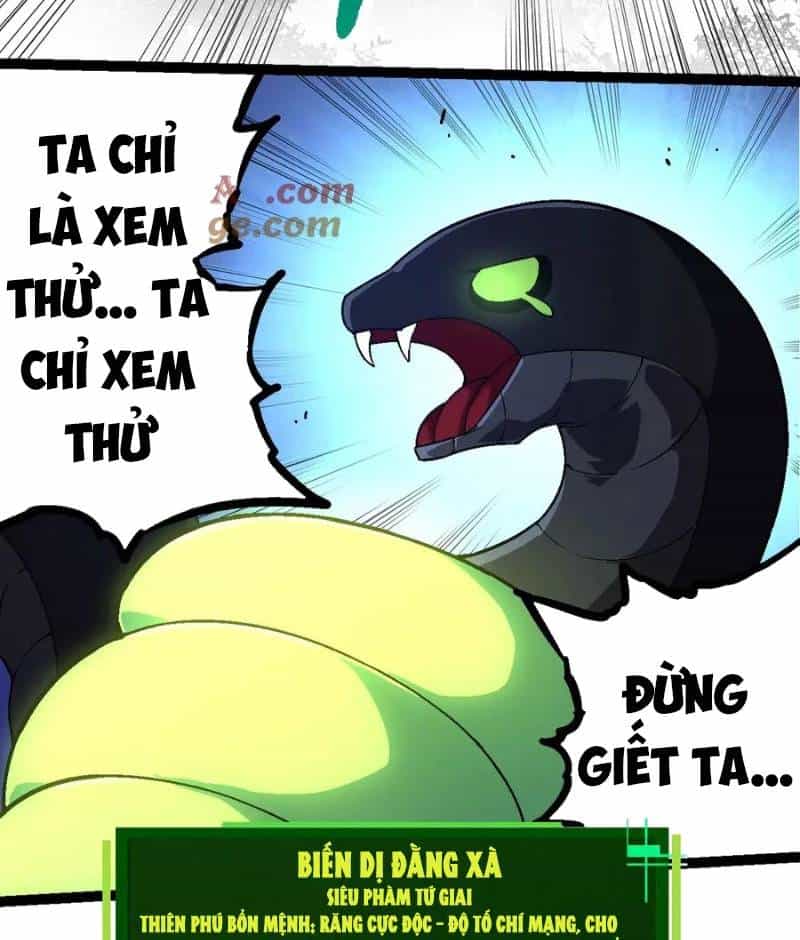 Chuyển Sinh Thành Liễu Đột Biến - Chương 251 - ảnh 38