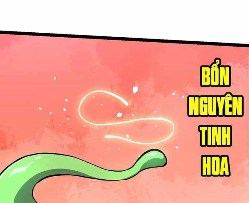 Chuyển Sinh Thành Liễu Đột Biến - Chương 255 - ảnh 12