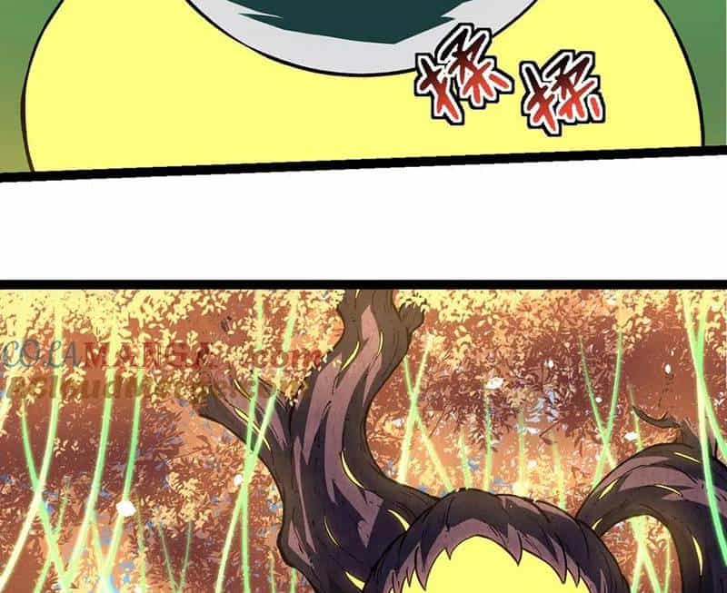 Chuyển Sinh Thành Liễu Đột Biến - Chương 255 - ảnh 5