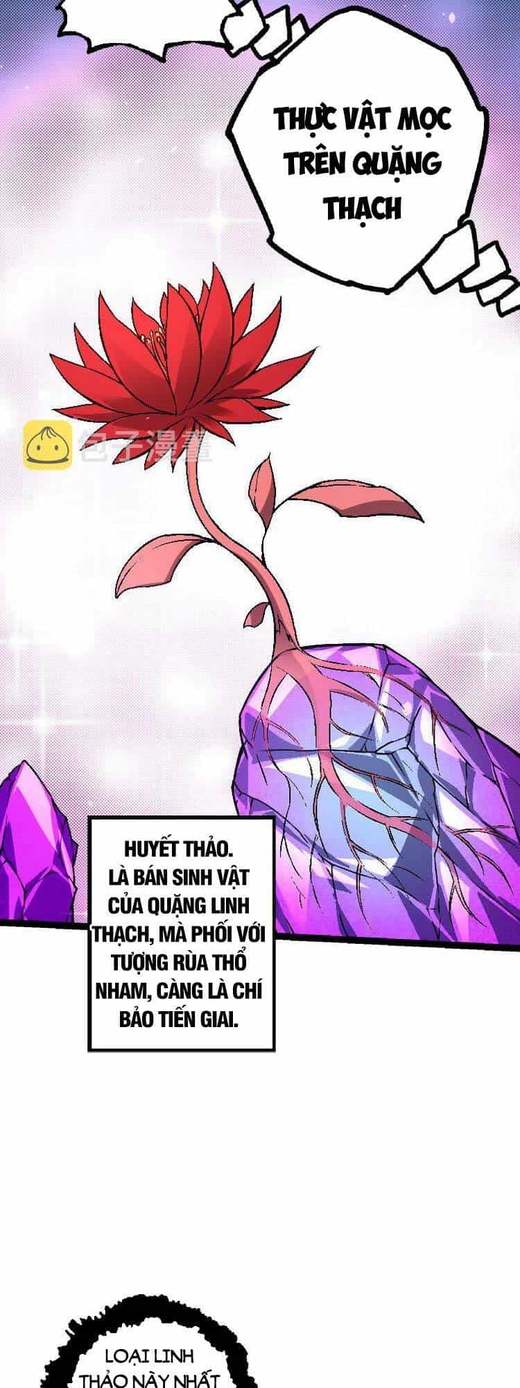 Chuyển Sinh Thành Liễu Đột Biến - Chương 25 - ảnh 9