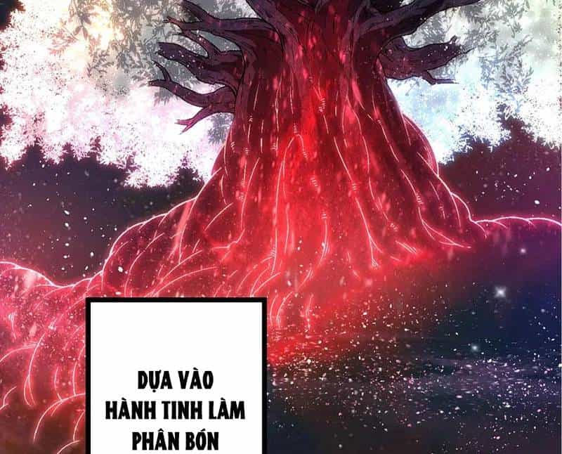 Chuyển Sinh Thành Liễu Đột Biến - Chương 256 - ảnh 3