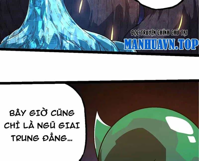 Chuyển Sinh Thành Liễu Đột Biến - Chương 256 - ảnh 34