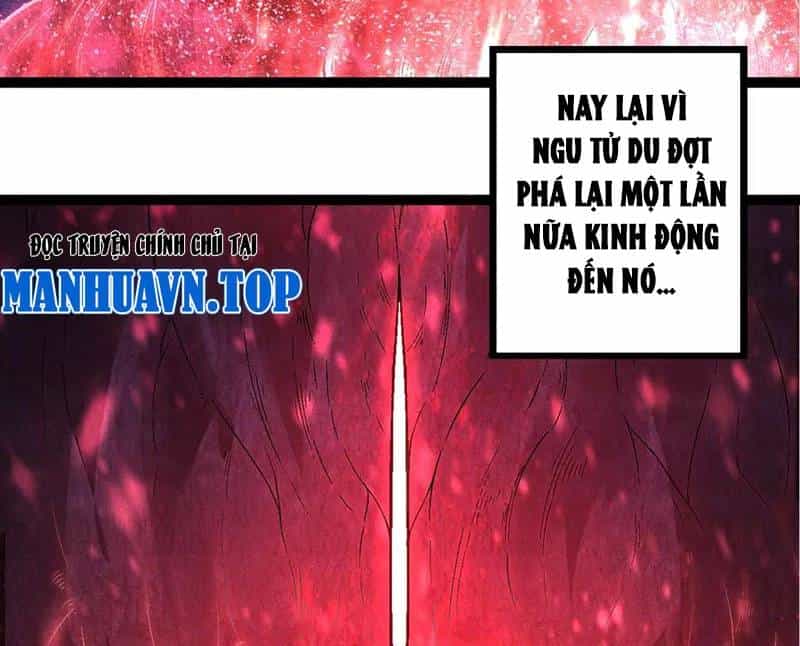 Chuyển Sinh Thành Liễu Đột Biến - Chương 256 - ảnh 7