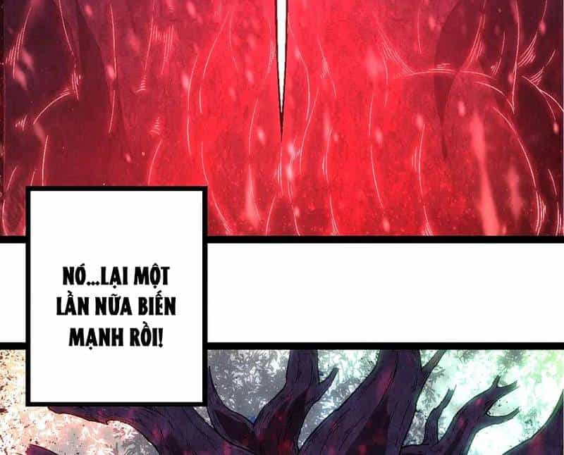 Chuyển Sinh Thành Liễu Đột Biến - Chương 256 - ảnh 8