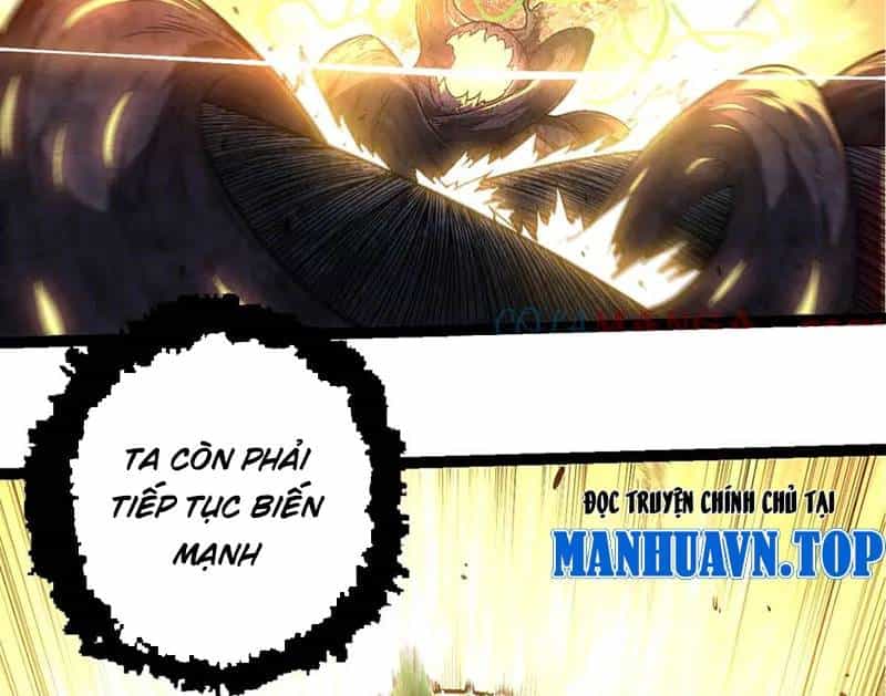 Chuyển Sinh Thành Liễu Đột Biến - Chương 256 - ảnh 89