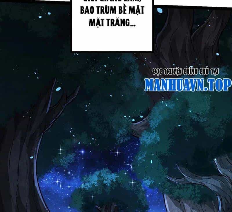 Chuyển Sinh Thành Liễu Đột Biến - Chương 258 - ảnh 54