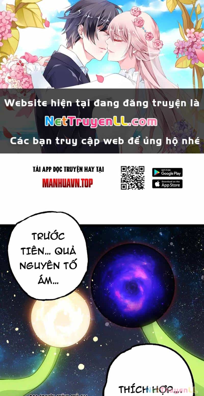 Chuyển Sinh Thành Liễu Đột Biến - Chương 260 - ảnh 1