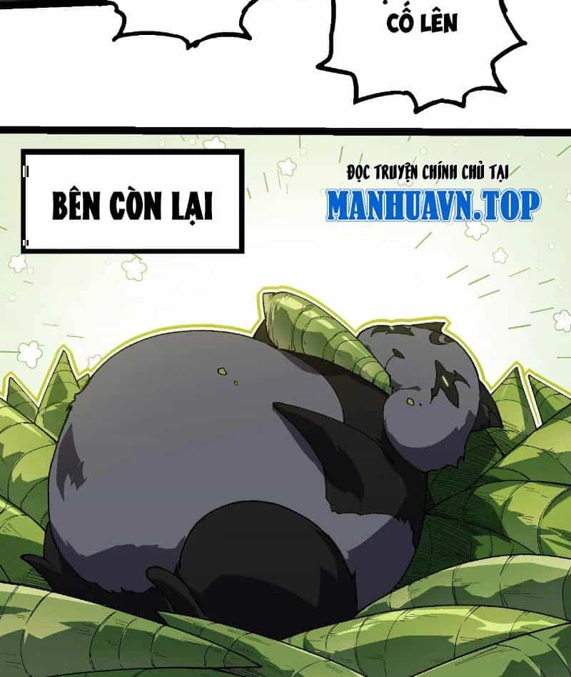 Chuyển Sinh Thành Liễu Đột Biến - Chương 260 - ảnh 25